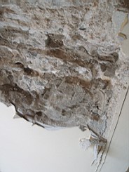 christchurch -1537.jpg